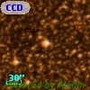 CCDM J17485-3459B