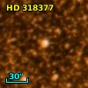 HD 318377