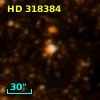 HD 318384