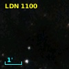 LDN 1100