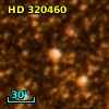 HD 320460