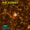 HD 320607
