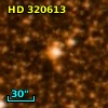 HD 320613