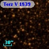 Terz V 1839