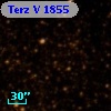 Terz V 1855