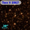 Terz V 1867