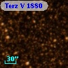 Terz V 1880