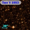 Terz V 1883