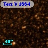 Terz V 1884