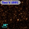 Terz V 1885