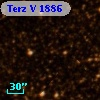Terz V 1886