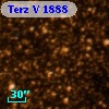 Terz V 1888