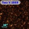 Terz V 1889