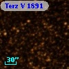 Terz V 1891