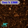 Terz V 1900