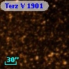 Terz V 1901