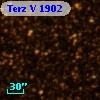 Terz V 1902