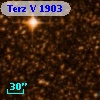 Terz V 1903
