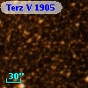 Terz V 1905