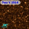 Terz V 1914