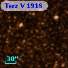Terz V 1918