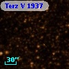 Terz V 1937