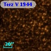 Terz V 1944