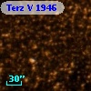 Terz V 1946