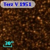 Terz V 1951