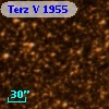 Terz V 1955