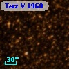Terz V 1960