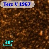 Terz V 1967