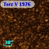 Terz V 1976