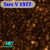 Terz V 1977