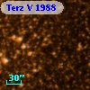 Terz V 1988