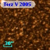 Terz V 2005