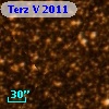 Terz V 2011