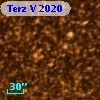 Terz V 2020