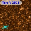 Terz V 2021