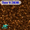 Terz V 2030