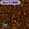Terz V 2006