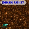 [DSH99] 393-37