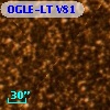 OGLE-LT V81