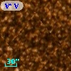 V* V1231 Sco