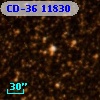 CD-36 11830