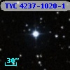 TYC 4237-1020-1