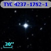 TYC 4237-1782-1