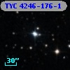 TYC 4246-176-1