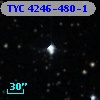 TYC 4246-480-1