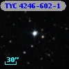 TYC 4246-602-1